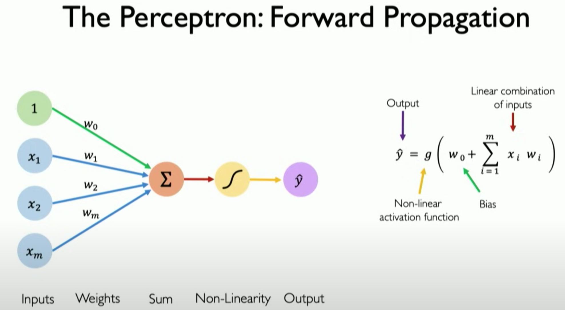Perceptron (or neuron), the structural building block in a neural network